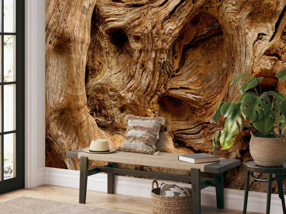 Nahaufnahme alter Baum