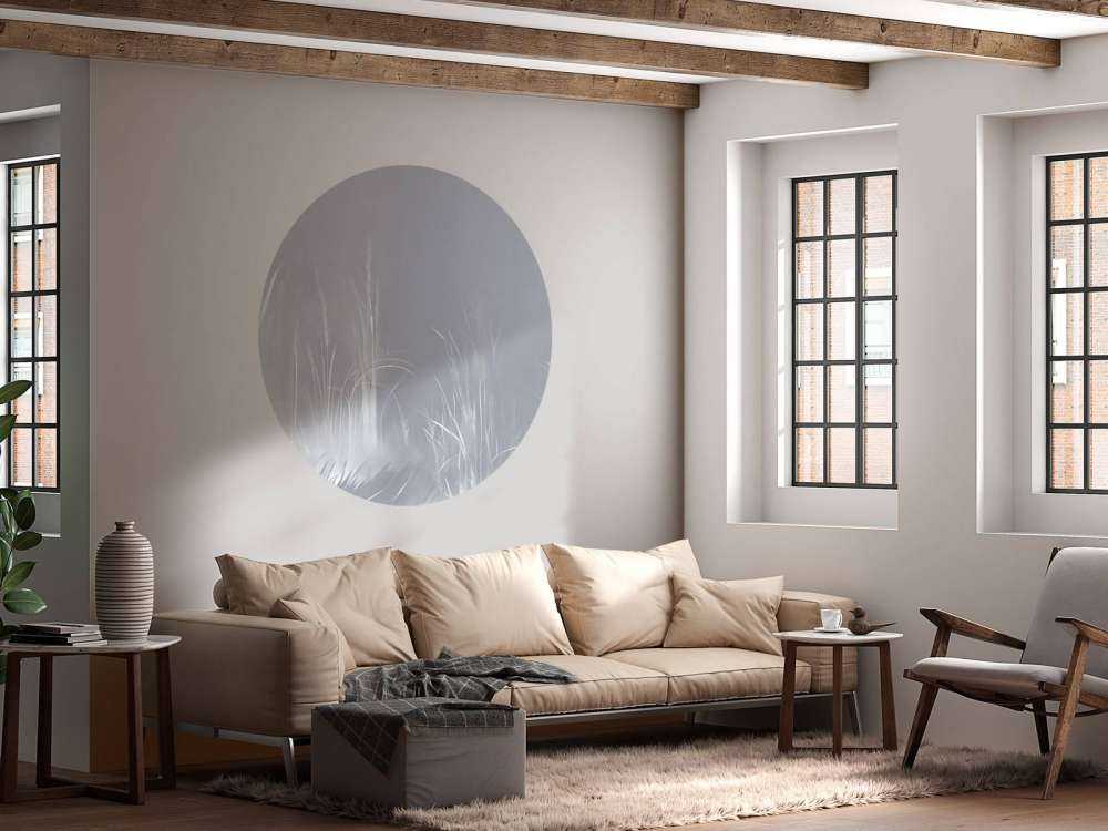 Natur Stimmung Staubige Rose