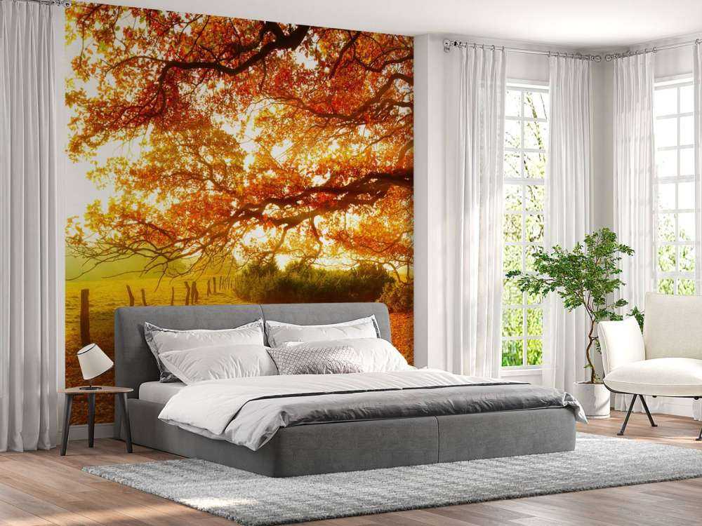 Herbstlandschaft mit Wald und Wiese