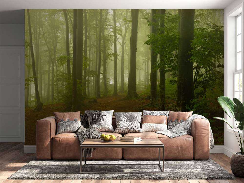 Weg durch nebligen grünen Wald