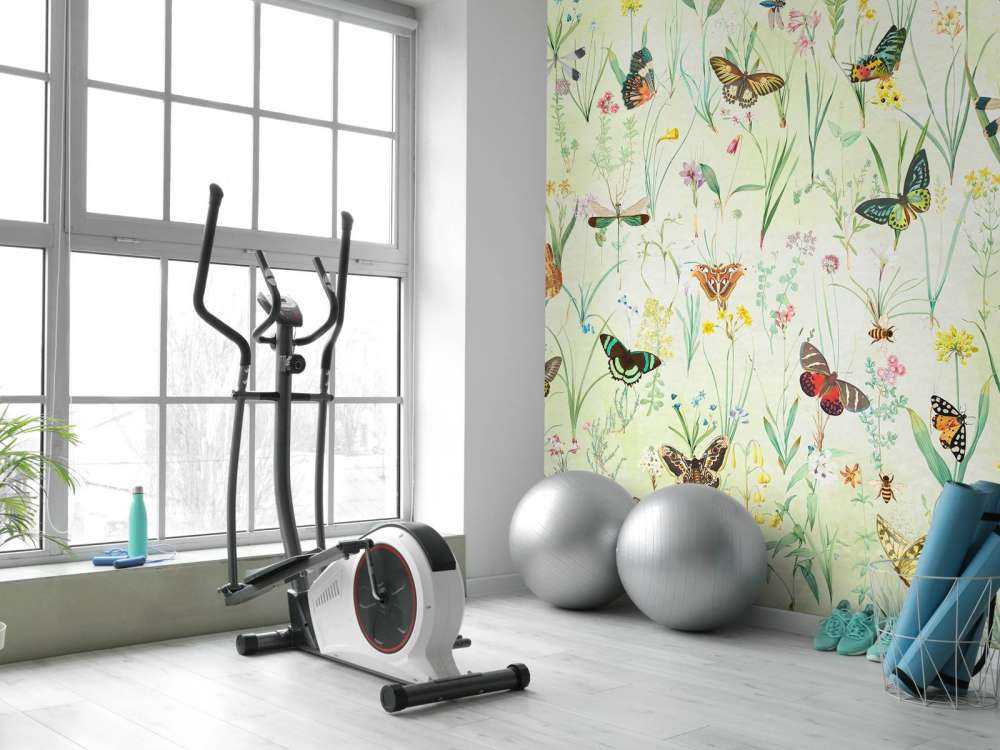 Wiese der Schmetterlinge