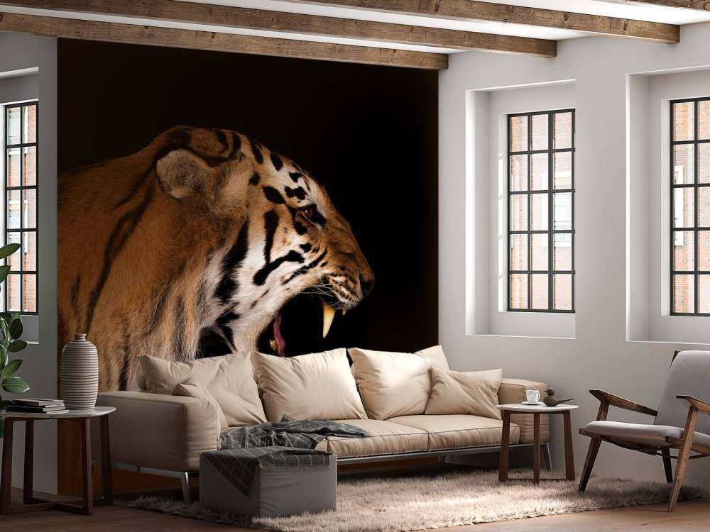 Brüllender Tiger