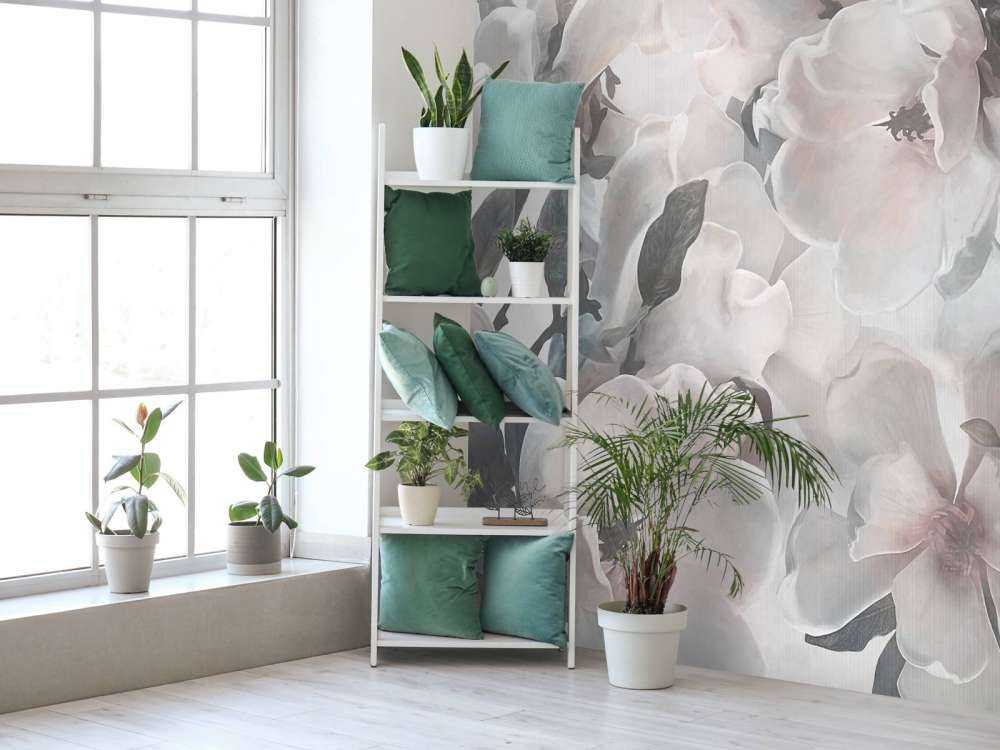 Magnolias 7