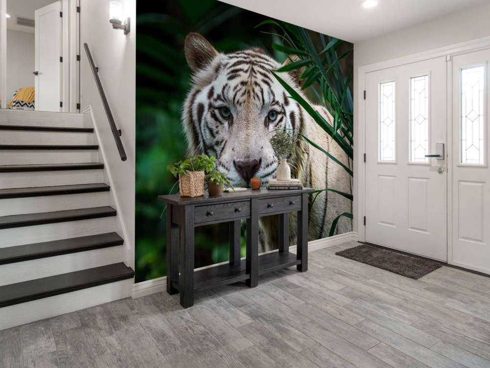 Weißer Tiger