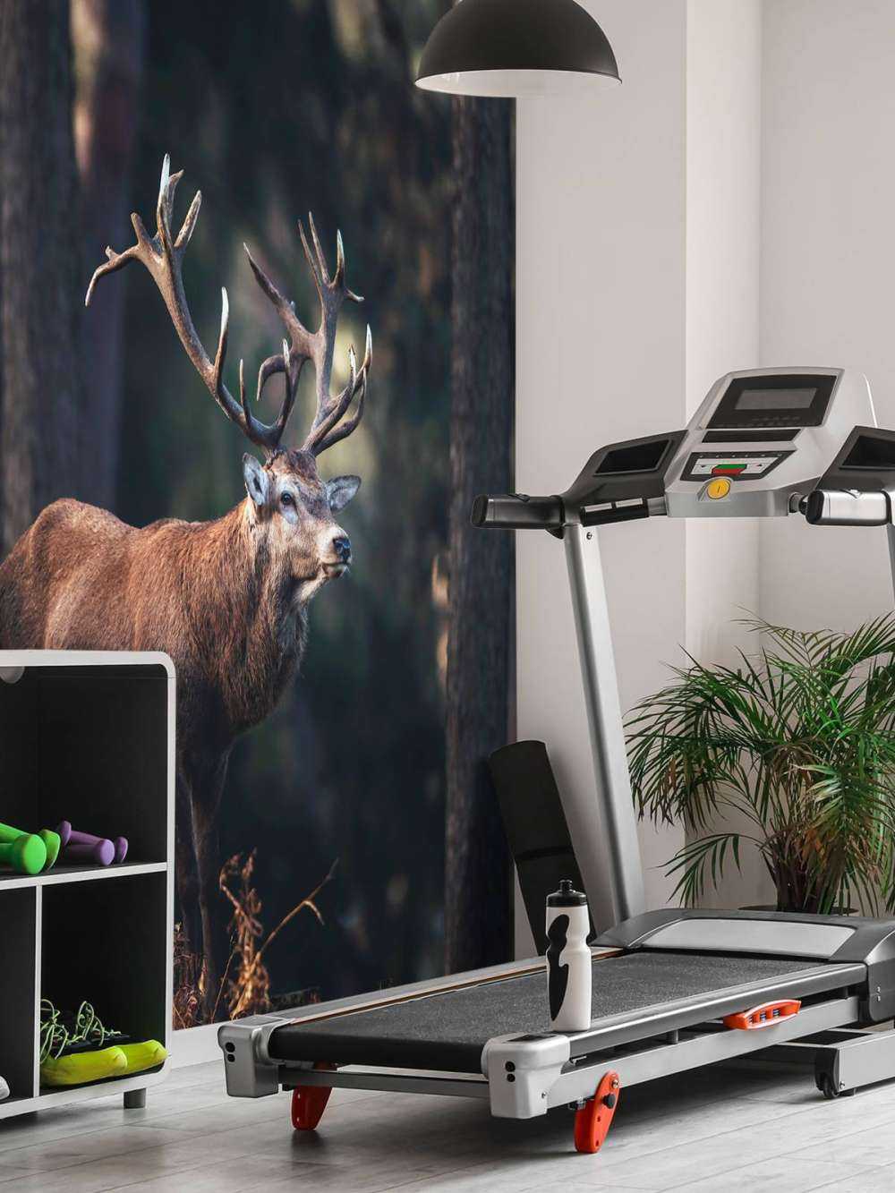 Hirsche auf einem Hügel