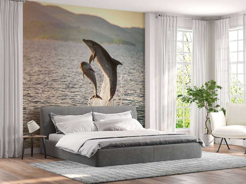 Zwei springende Delfine