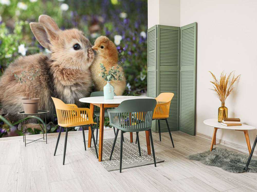 Kaninchen und Küken