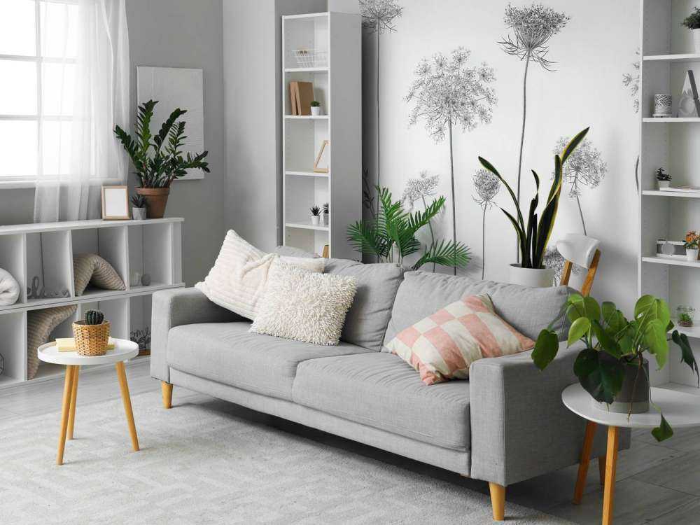 Kuh-Petersilie in Schwarz und Weiß