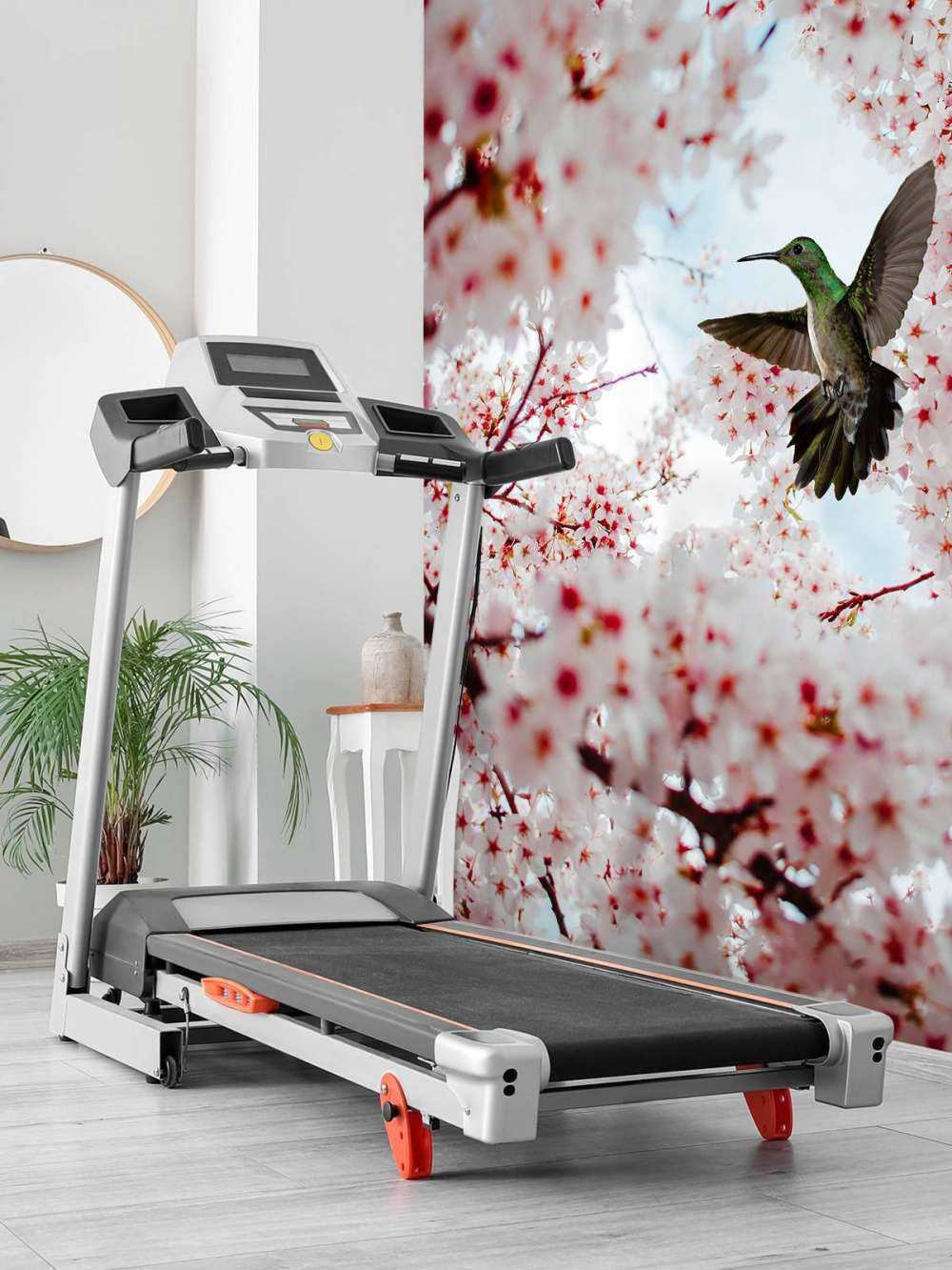 Kolibri zwischen den Blüten