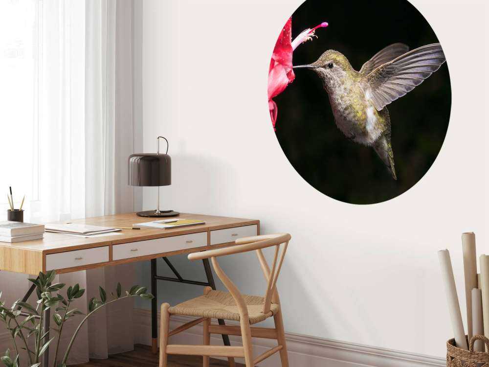 Kolibri mit roter Blume