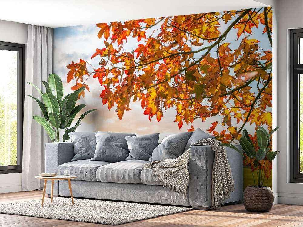 Herbstbaum bei Sonnenuntergang