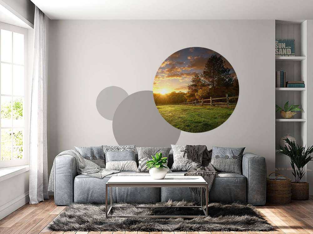 Weide mit Sonnenuntergang