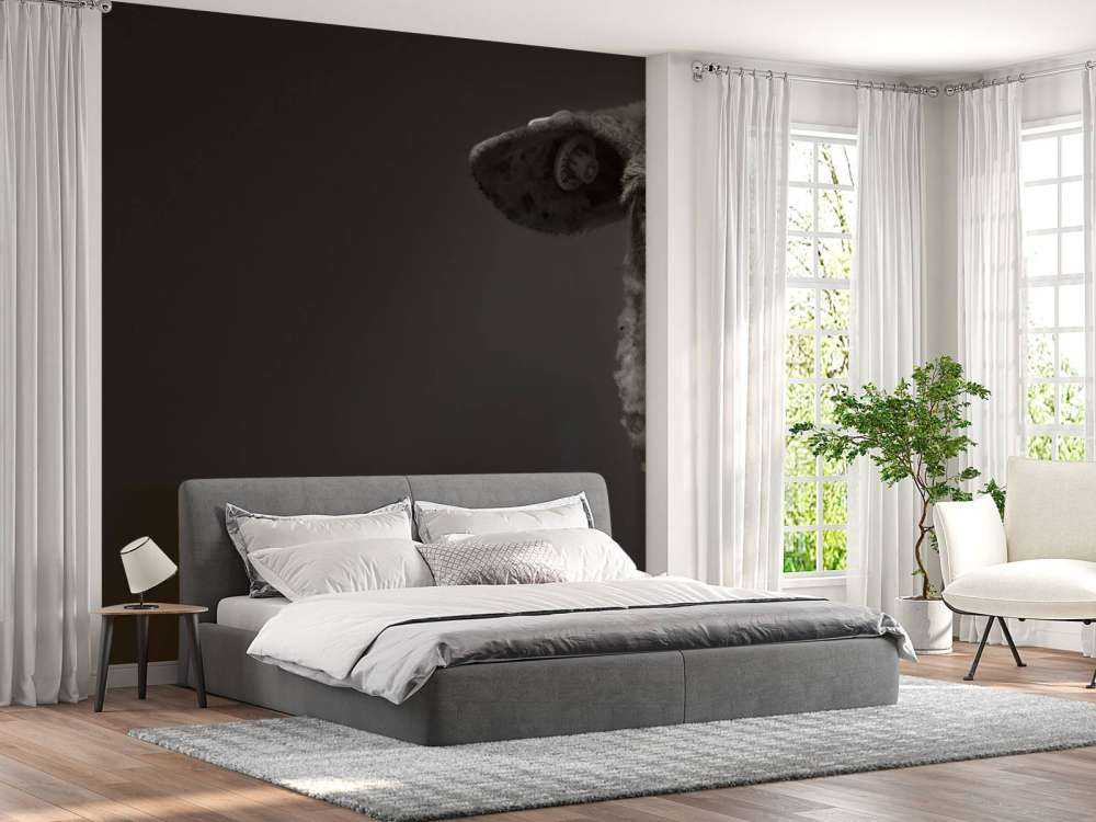 Nahaufnahme Schaf schwarz-weiß