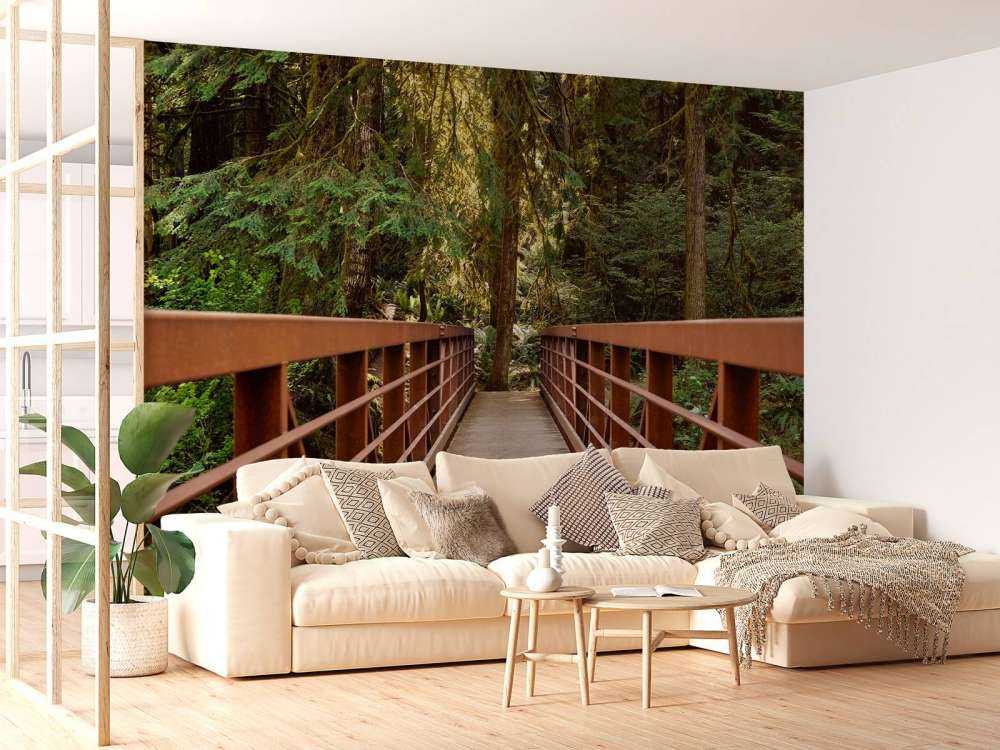 Rostige Brücke im Wald 