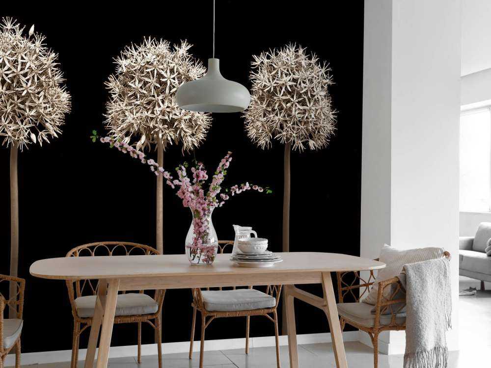 Drei Alliumblüten in einer Reihe