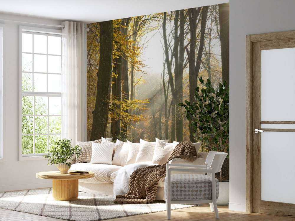 Wald von Crécy