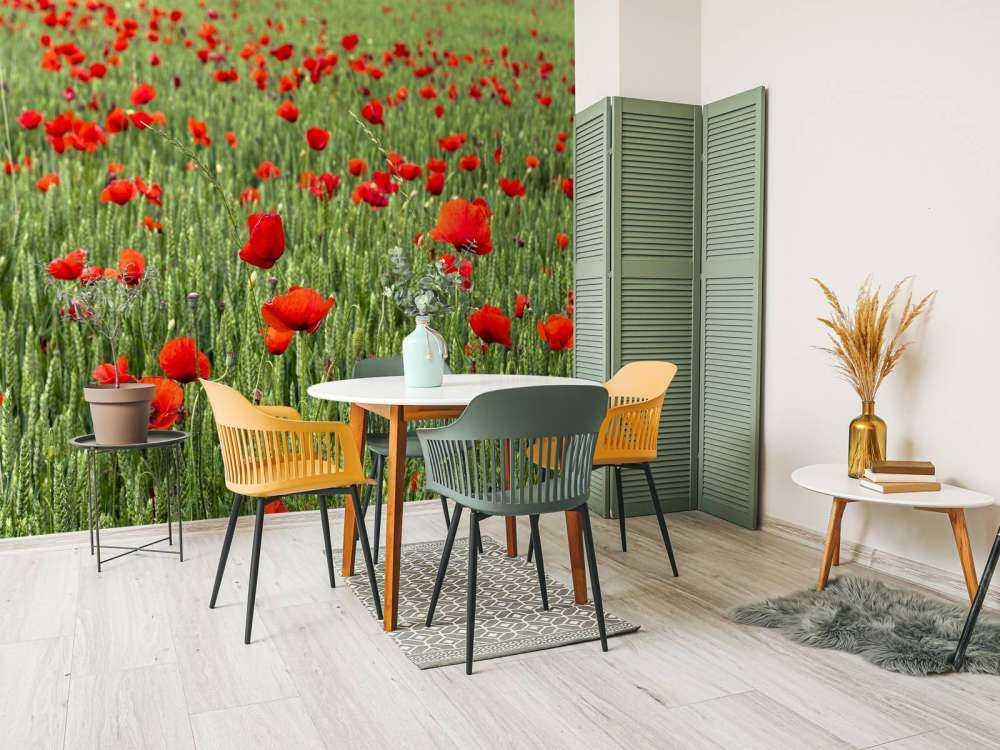 Rote Mohnblumen Feld