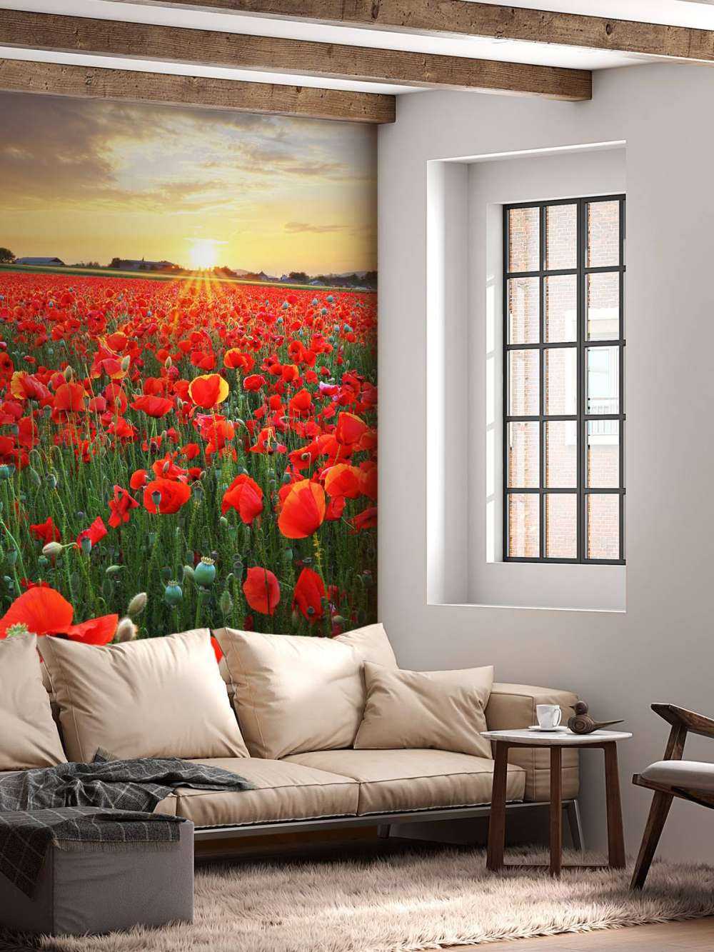Mohnblumen bei Sonnenuntergang