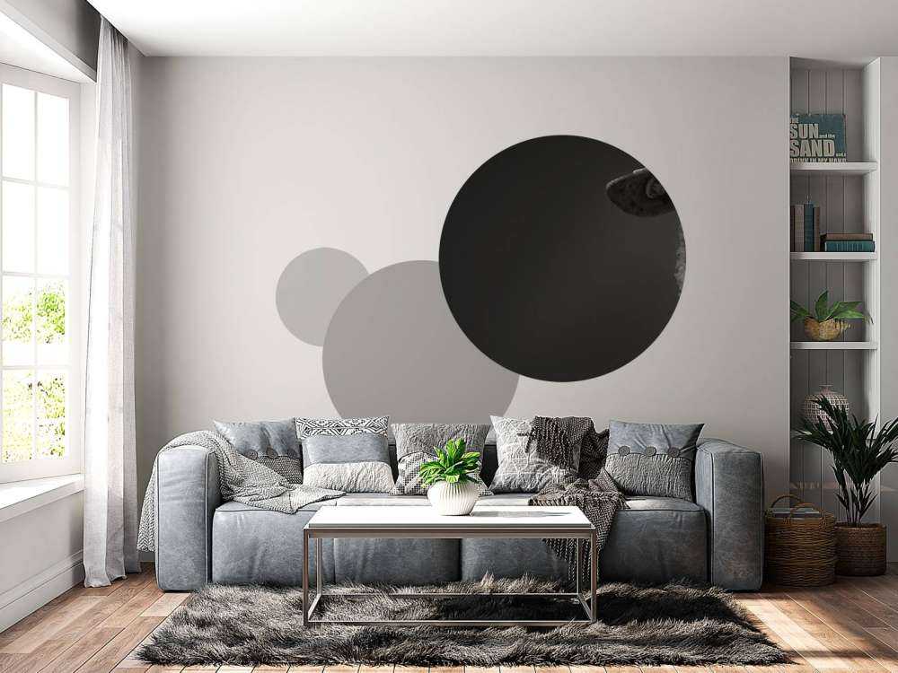 Nahaufnahme Schaf schwarz-weiß