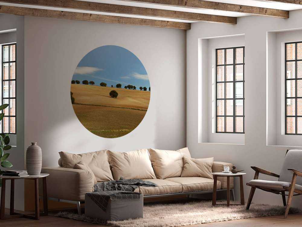 Bäume in spanischer Landschaft