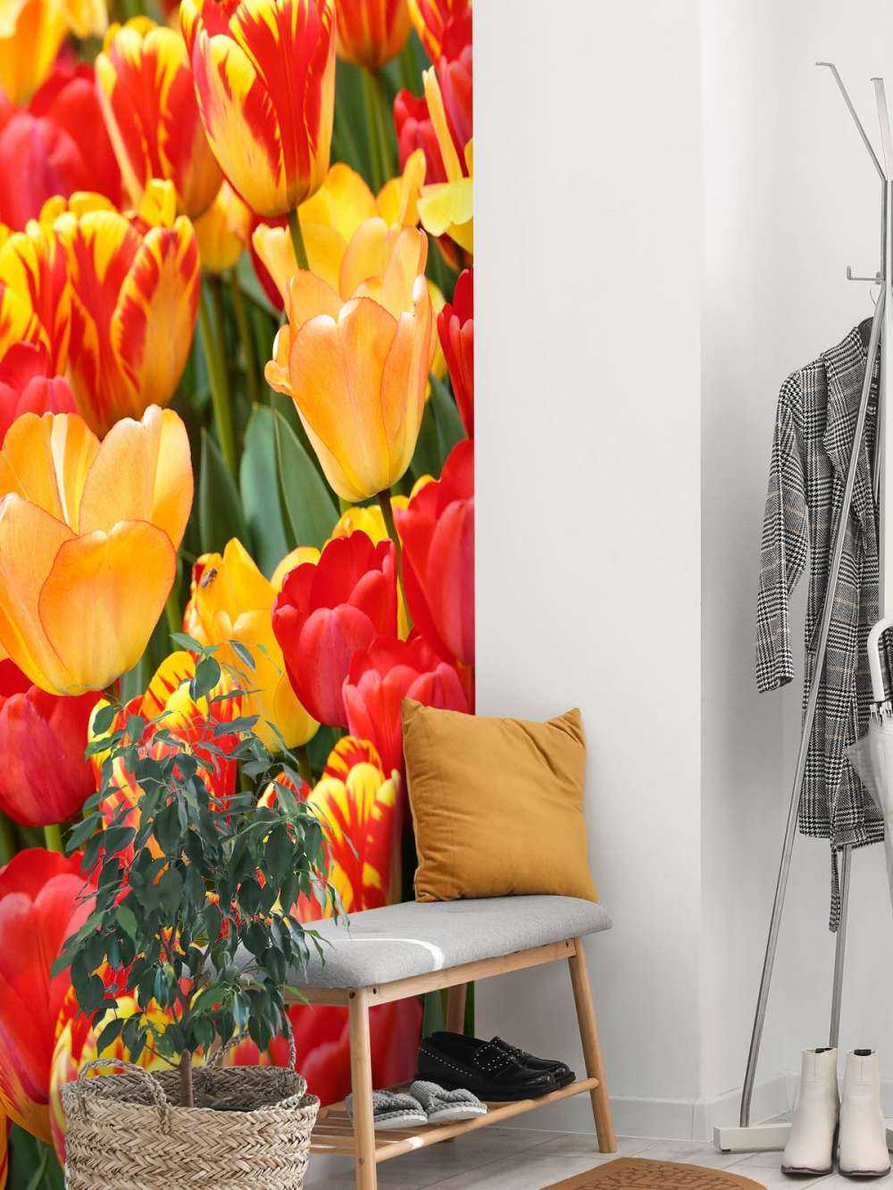Farbige Tulpen