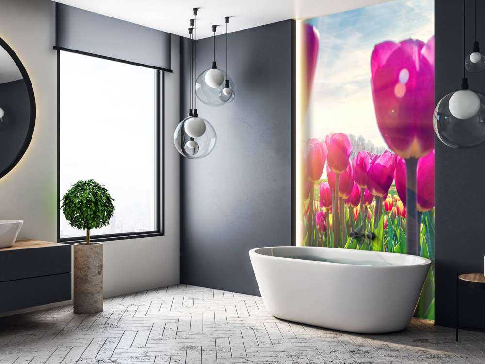 Tulpenfeld rosa