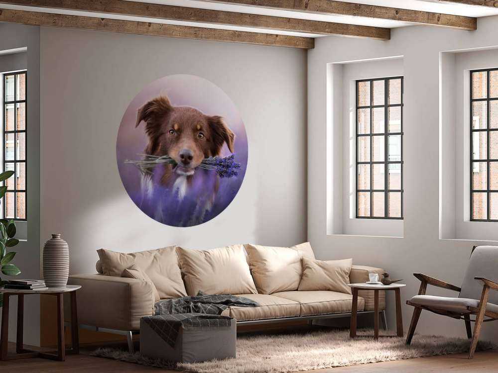 Hund mit Lavendel