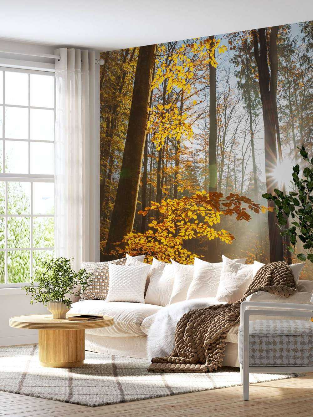 Tapete mit einem herbstlichen Wald