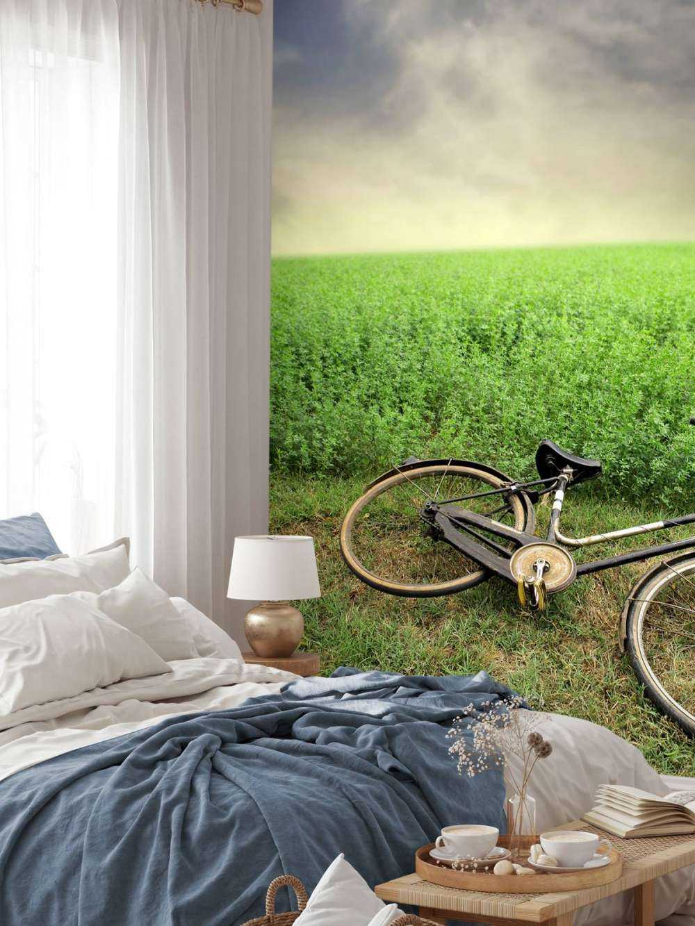Altes Fahrrad