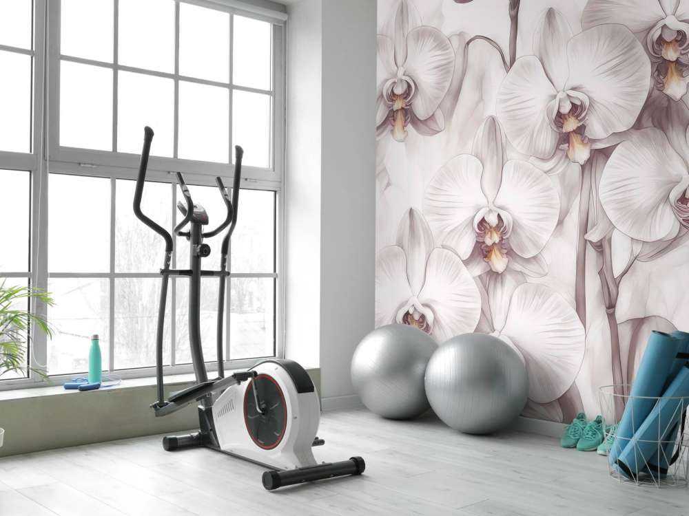 Orchideenparadies Rot