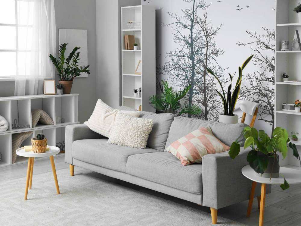 Winter Kontur Wald Stille