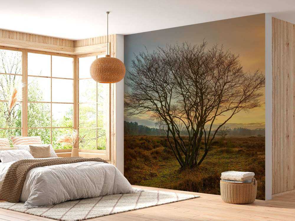 Sonnenaufgang auf der Heide