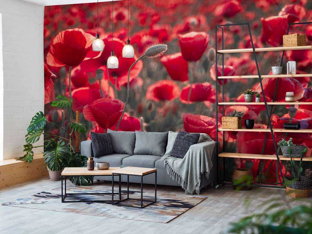 Mohnblumen im dunklen Stil