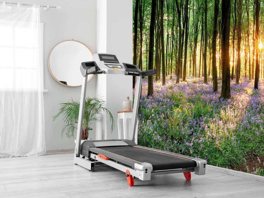 Waldweg bei Sonnenaufgang