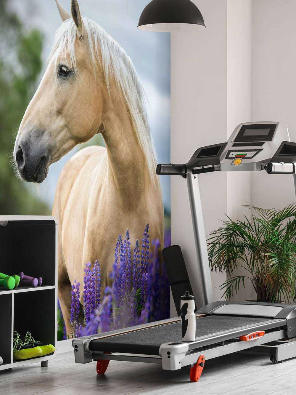 Pferd zwischen den Schmetterlingsblüten