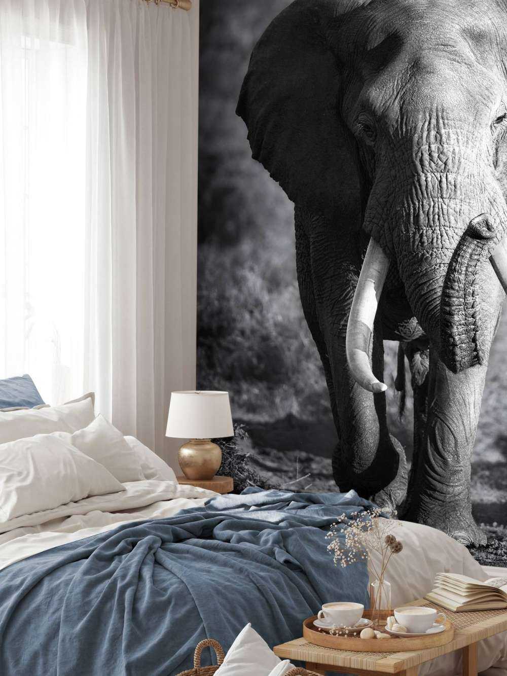 Afrikanischer Elefant