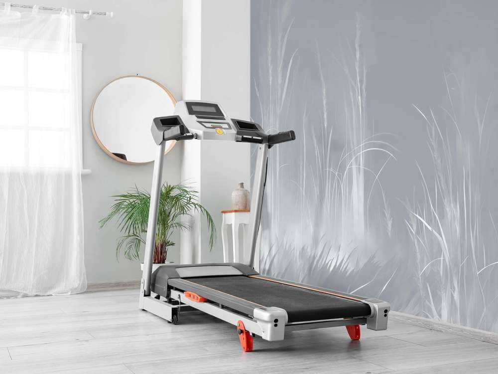 Natur Stimmung Staubige Rose