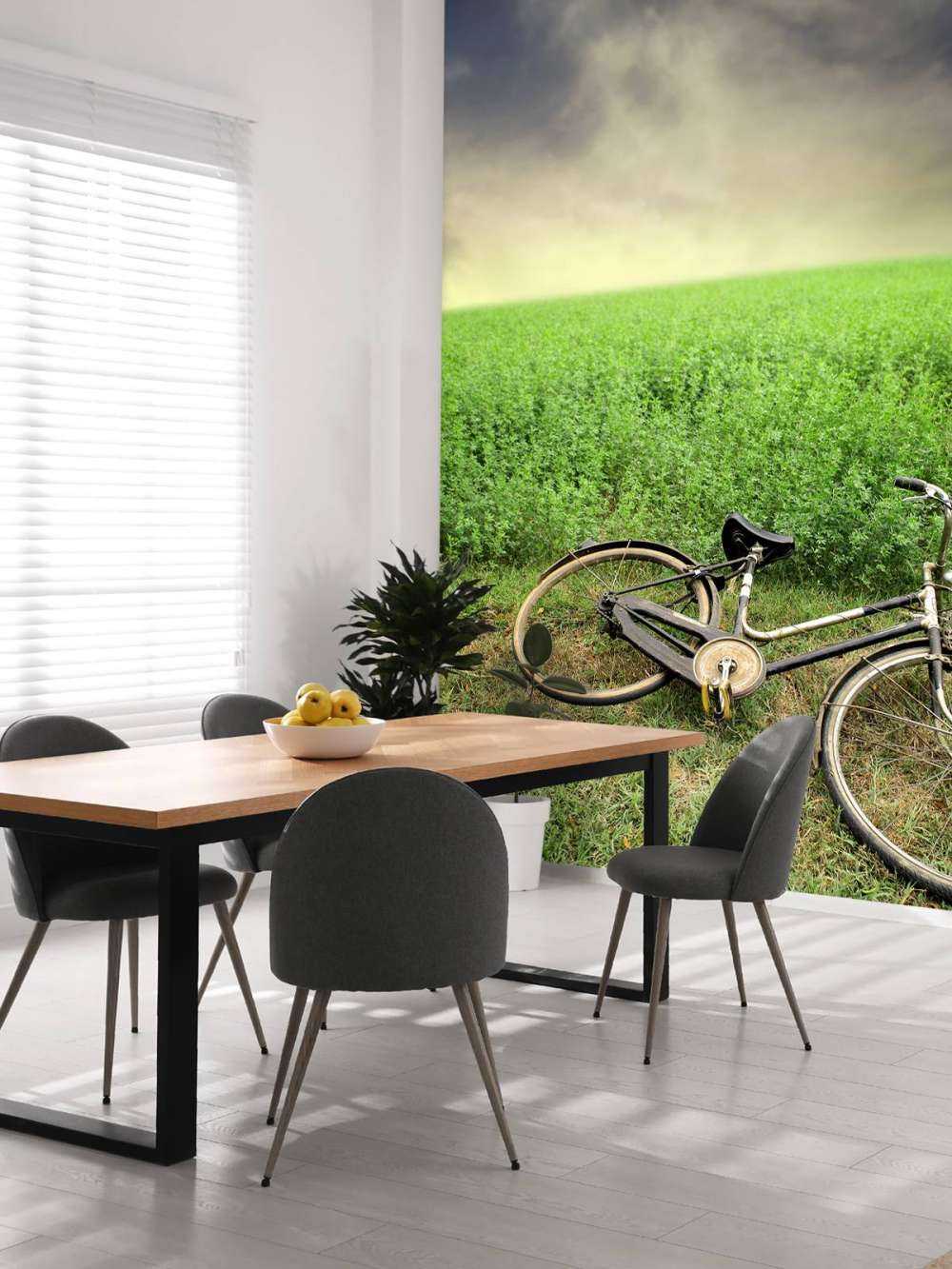 Altes Fahrrad