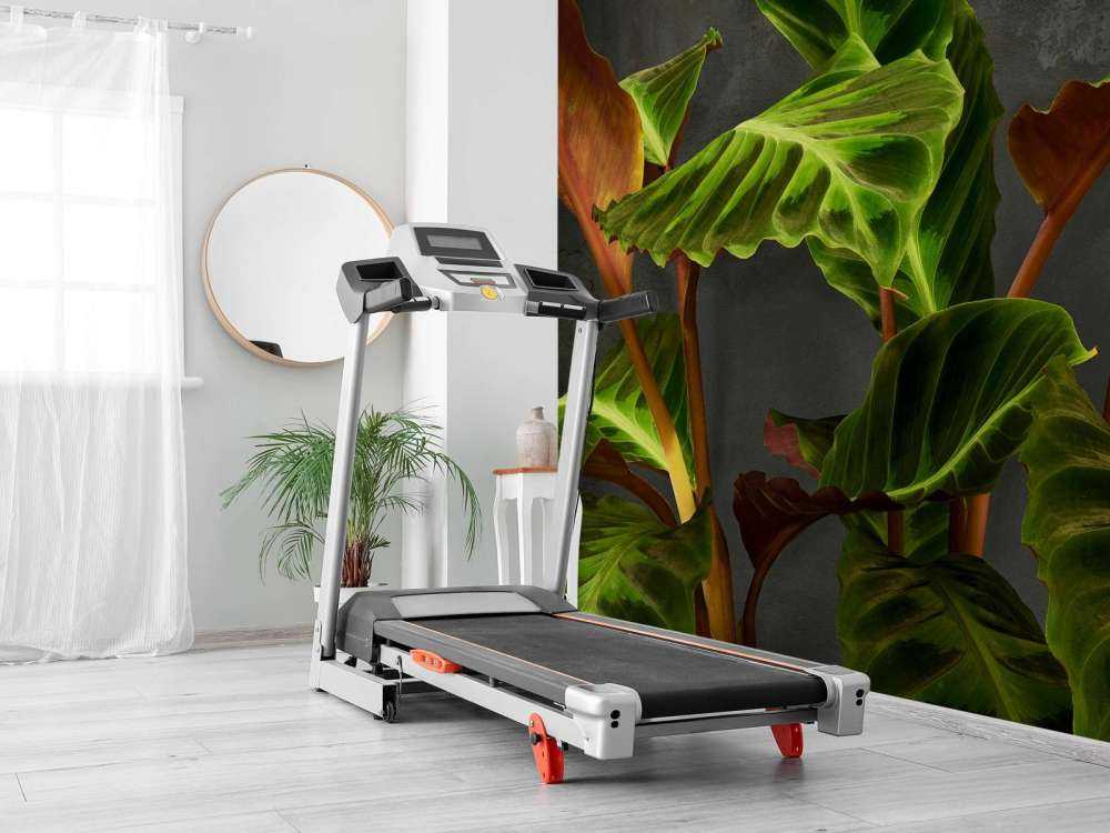 Pflanze mit schönen grünen Blättern