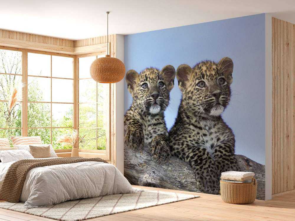 Kleine Leoparden