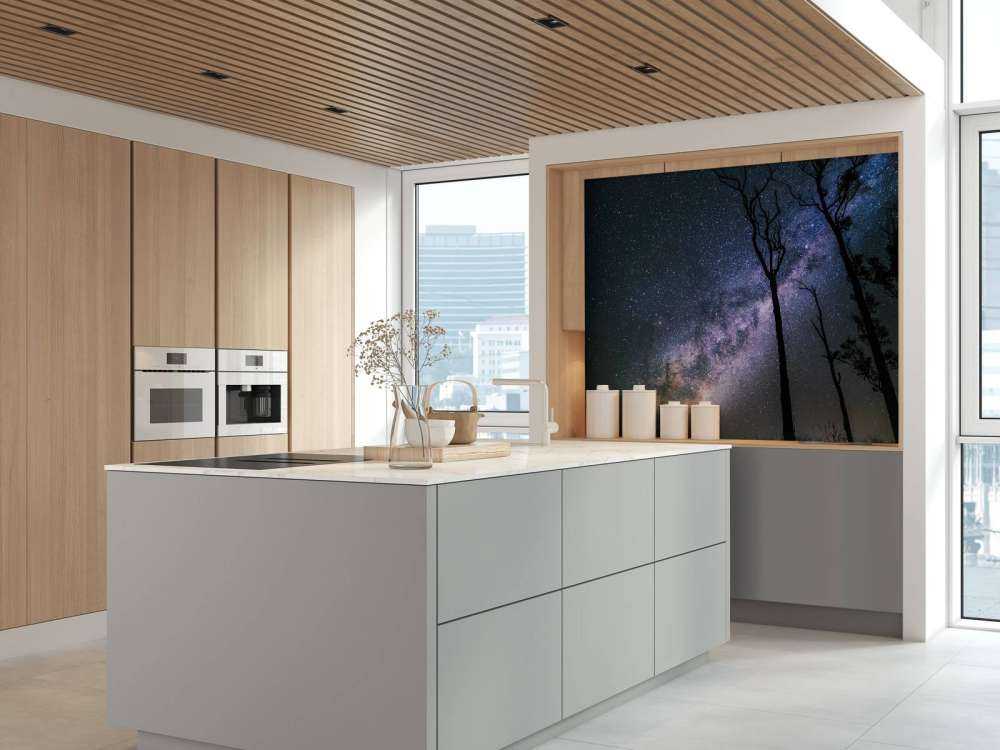 Sterne zwischen den Bäumen