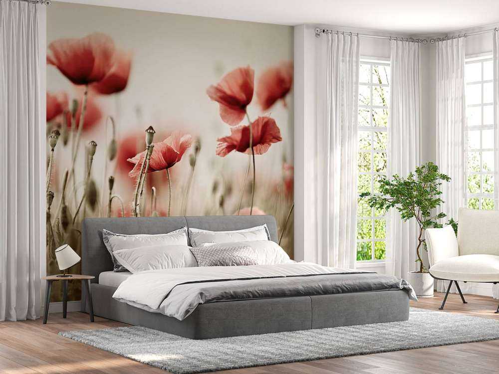 Verträumter Mohn