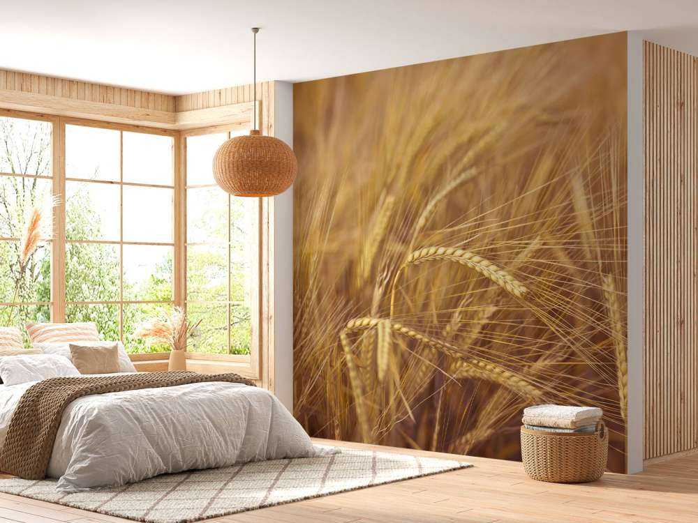Wheat Field