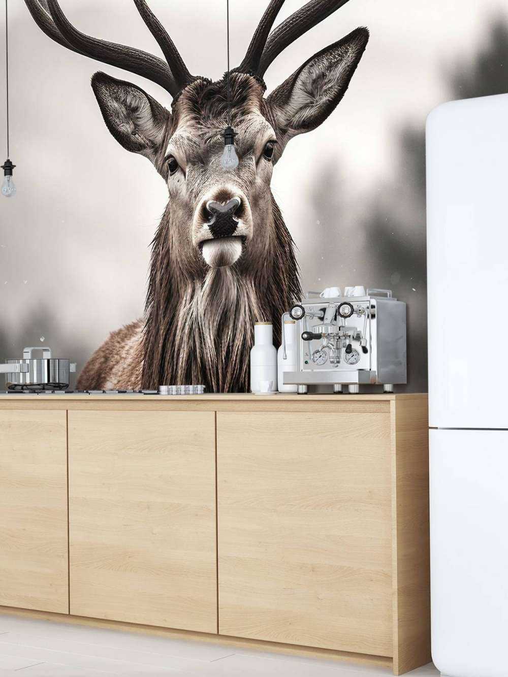 Winterkönig Hirschblick