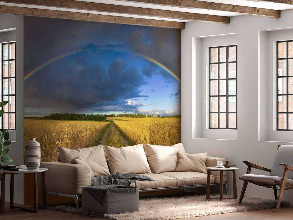 Regenbogen über einem Weizenfeld