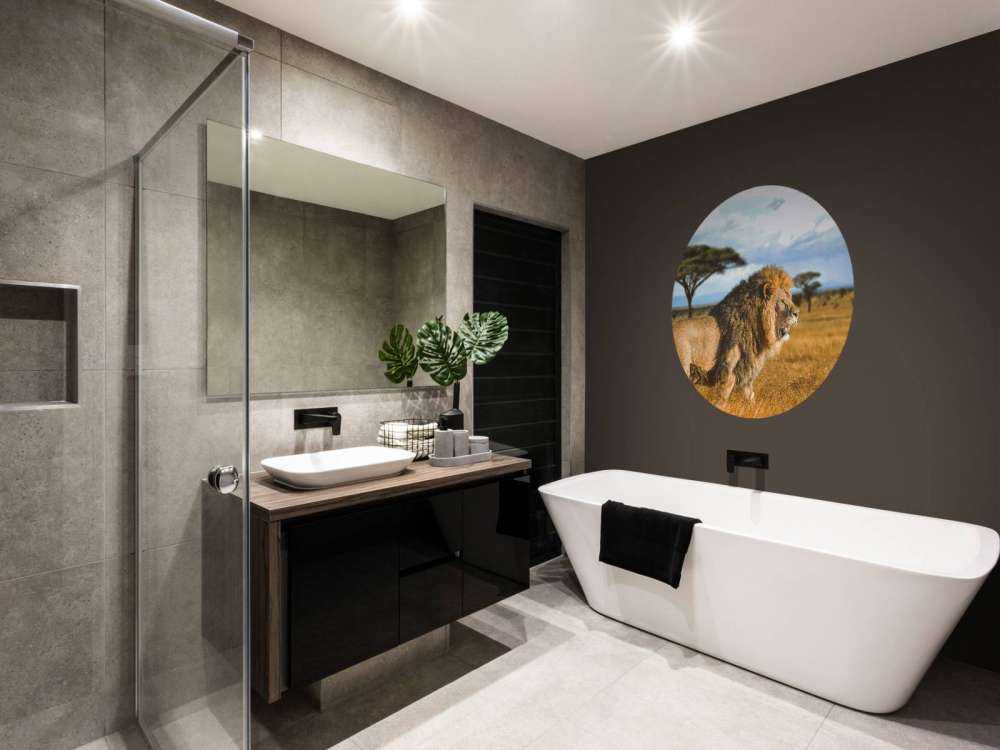 Löwe in der Savanne