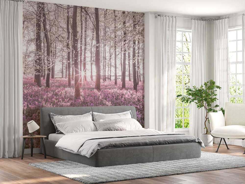 Wald im Frühling