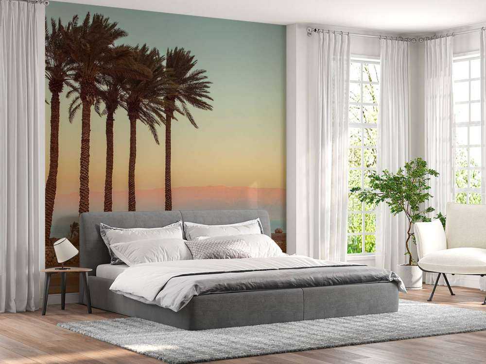 Palmen bei Sonnenuntergang