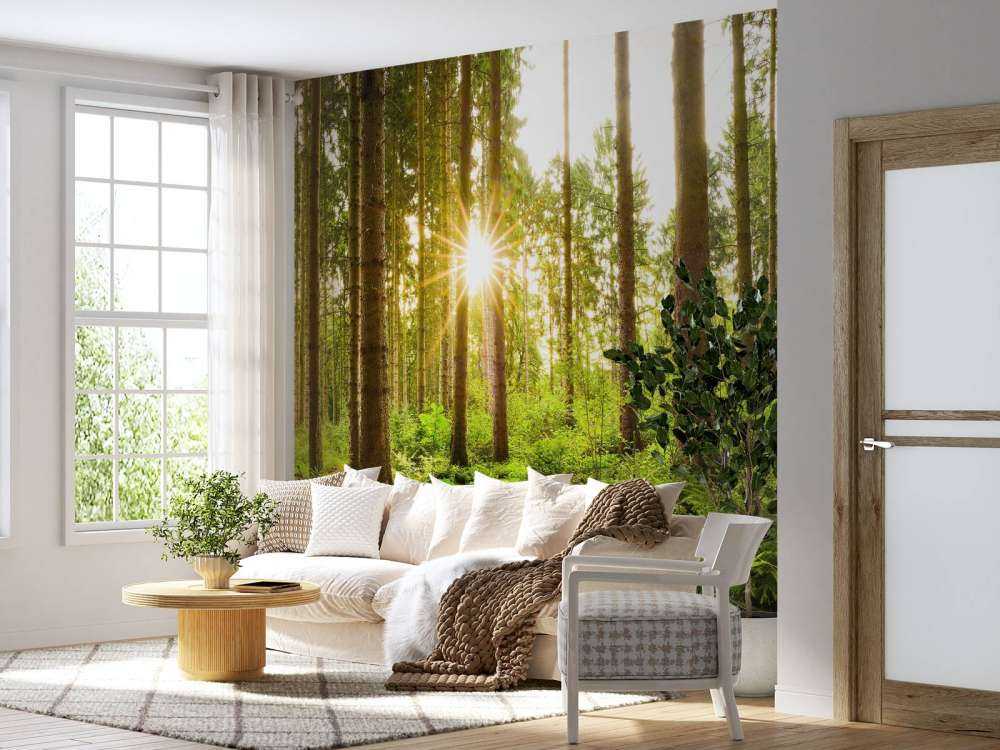 Helle Sonne