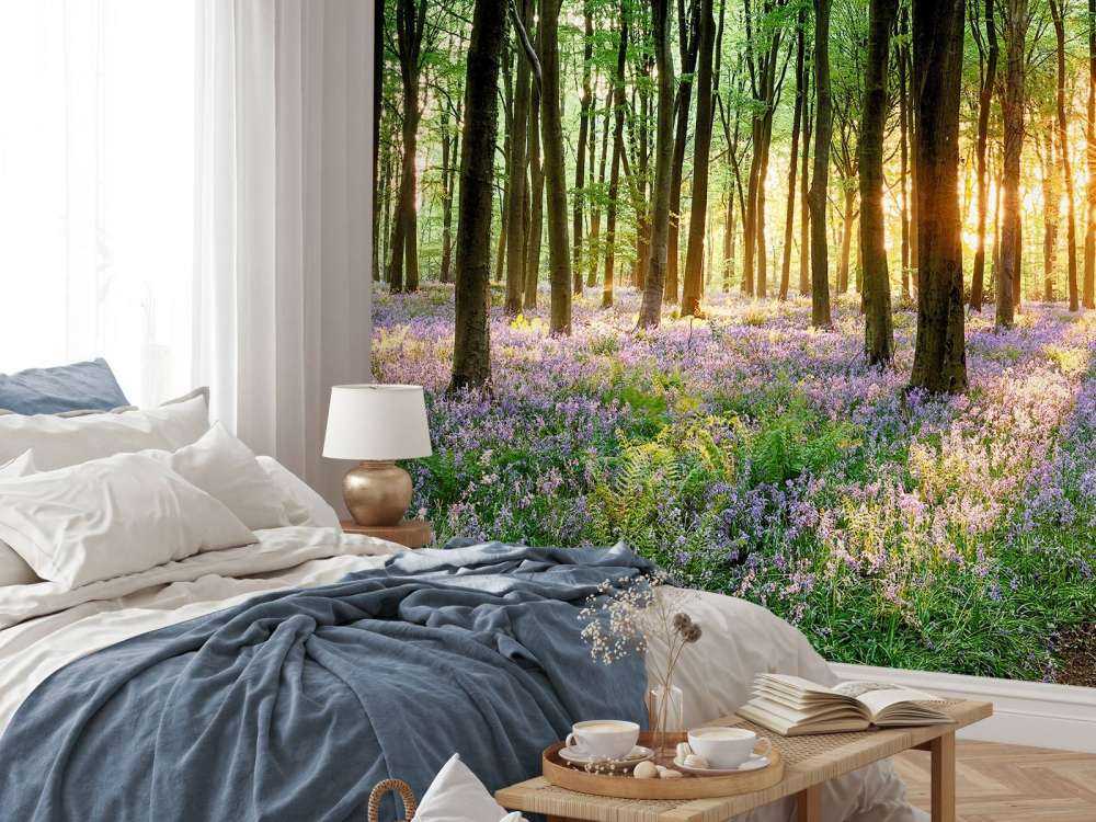 Waldweg bei Sonnenaufgang